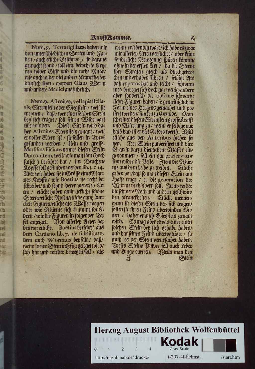 http://diglib.hab.de/drucke/t-207-4f-helmst/00087.jpg