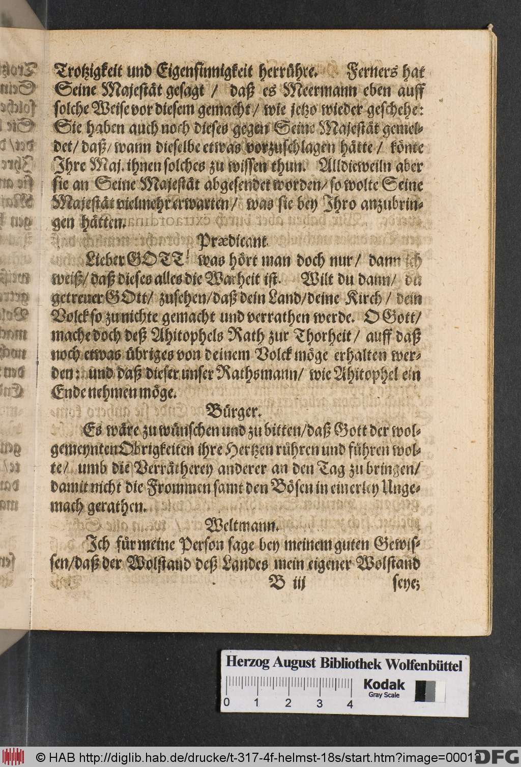 http://diglib.hab.de/drucke/t-317-4f-helmst-18s/00013.jpg