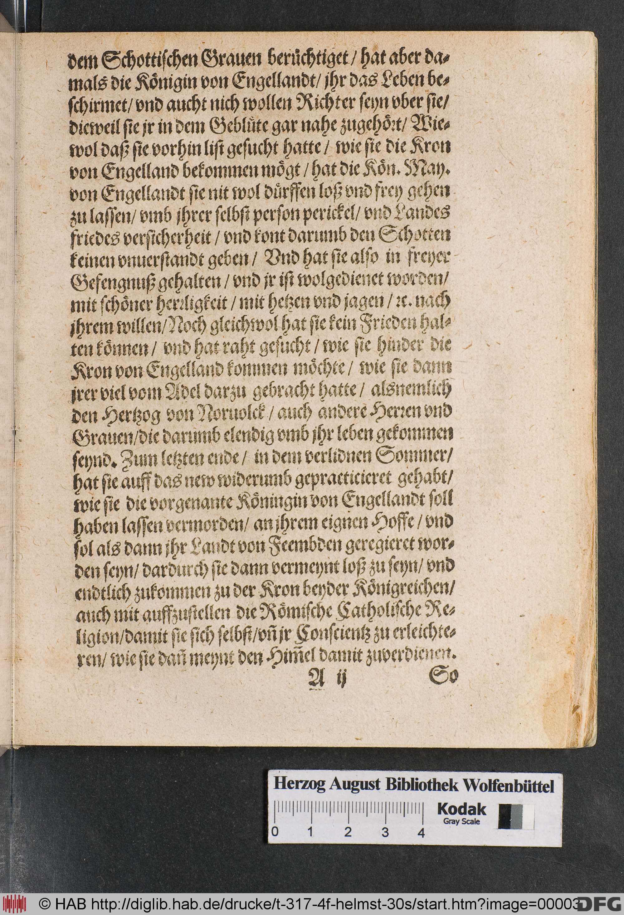 http://diglib.hab.de/drucke/t-317-4f-helmst-30s/max/00003.jpg