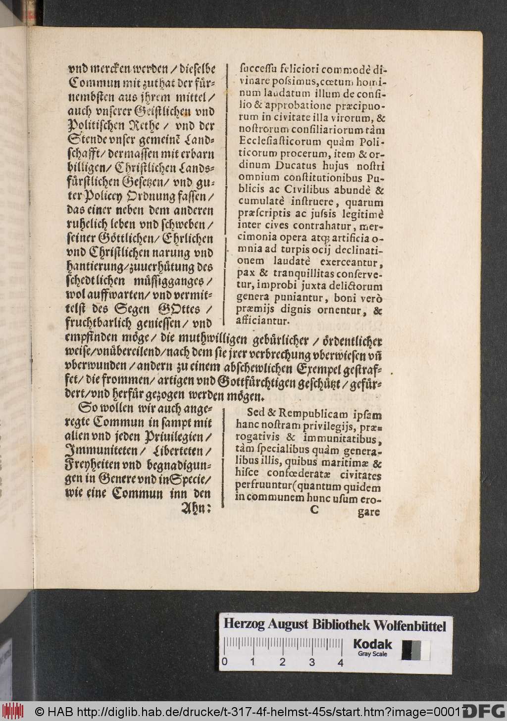 http://diglib.hab.de/drucke/t-317-4f-helmst-45s/00017.jpg