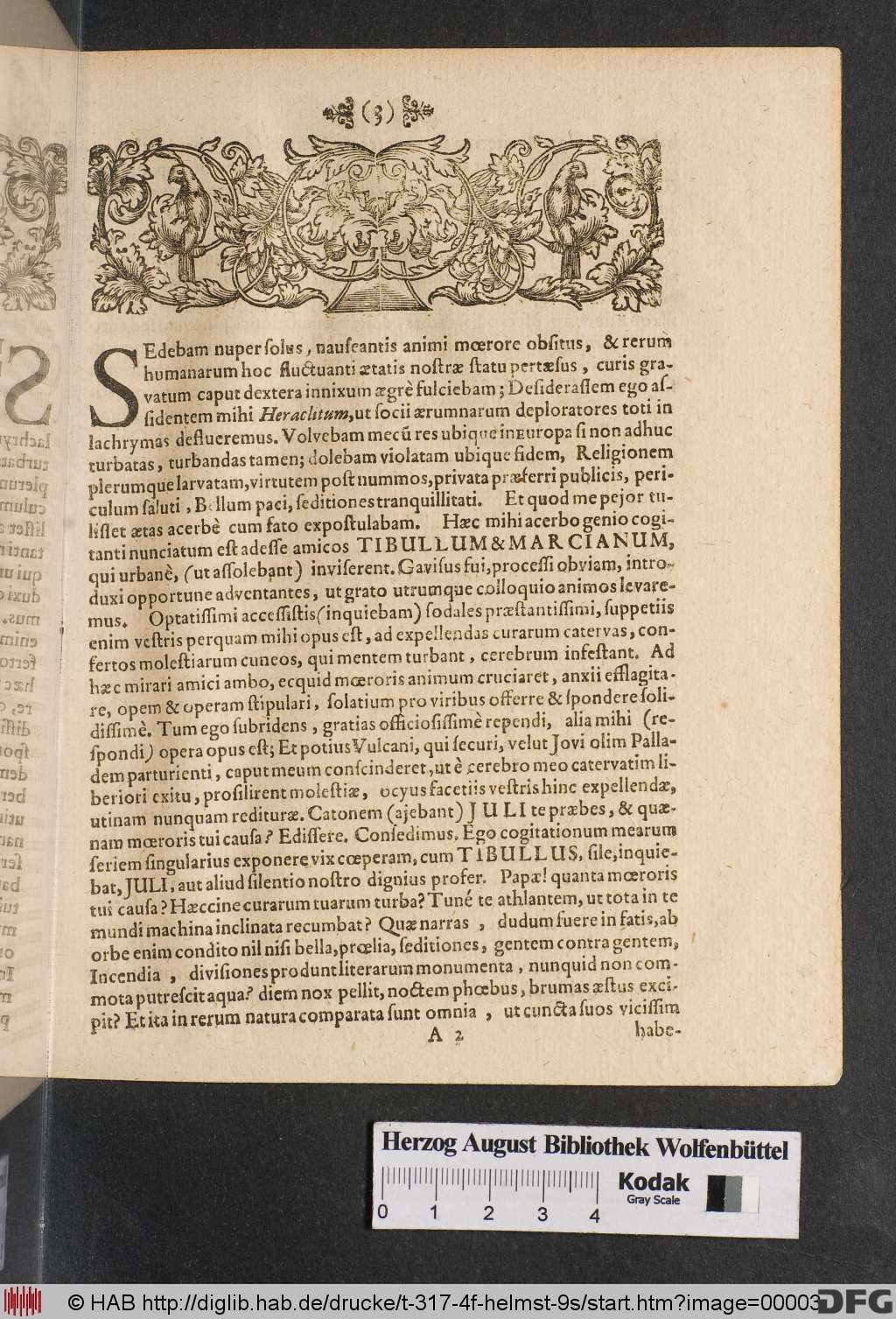 http://diglib.hab.de/drucke/t-317-4f-helmst-9s/00003.jpg