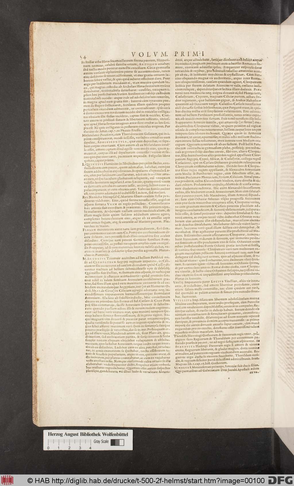 http://diglib.hab.de/drucke/t-500-2f-helmst/00100.jpg
