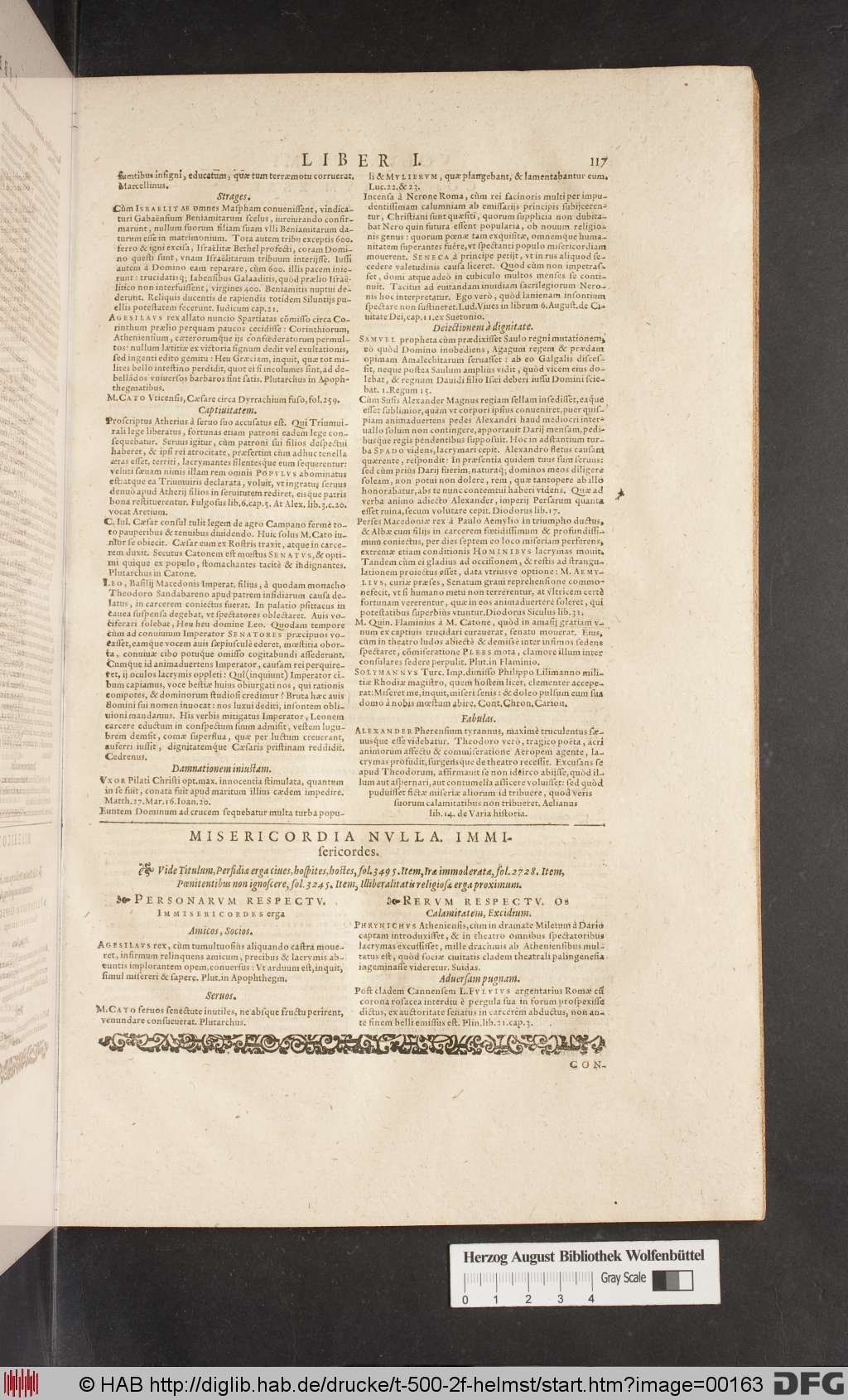 http://diglib.hab.de/drucke/t-500-2f-helmst/00163.jpg