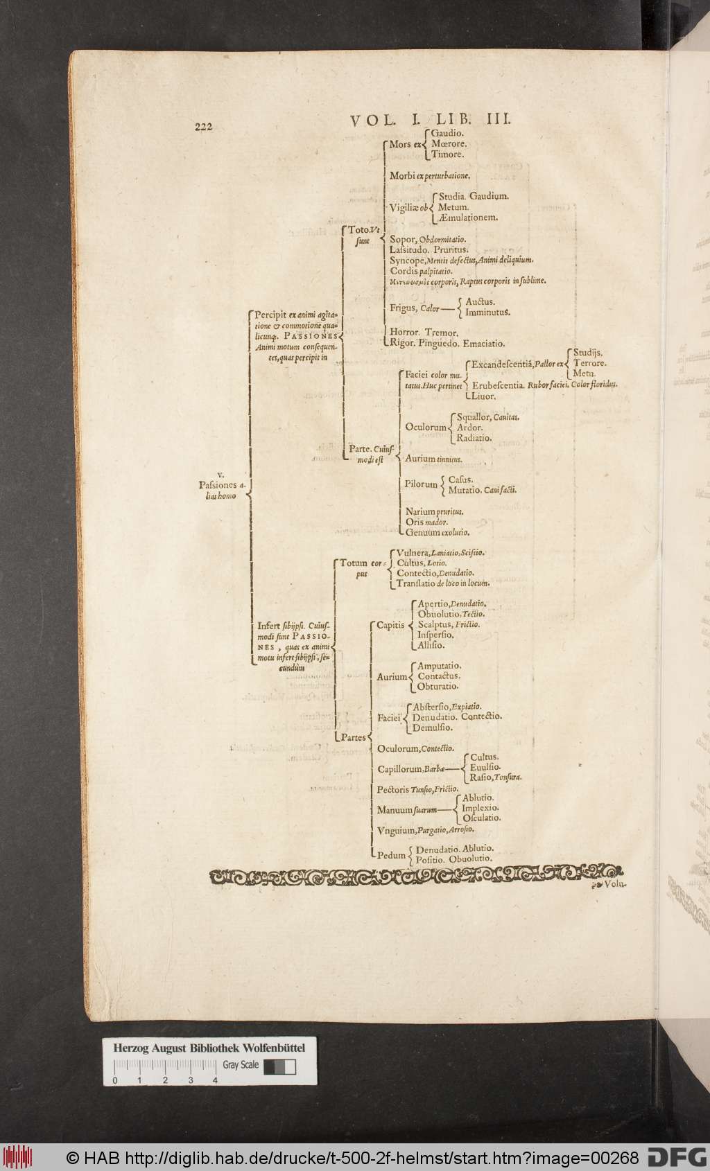 http://diglib.hab.de/drucke/t-500-2f-helmst/00268.jpg