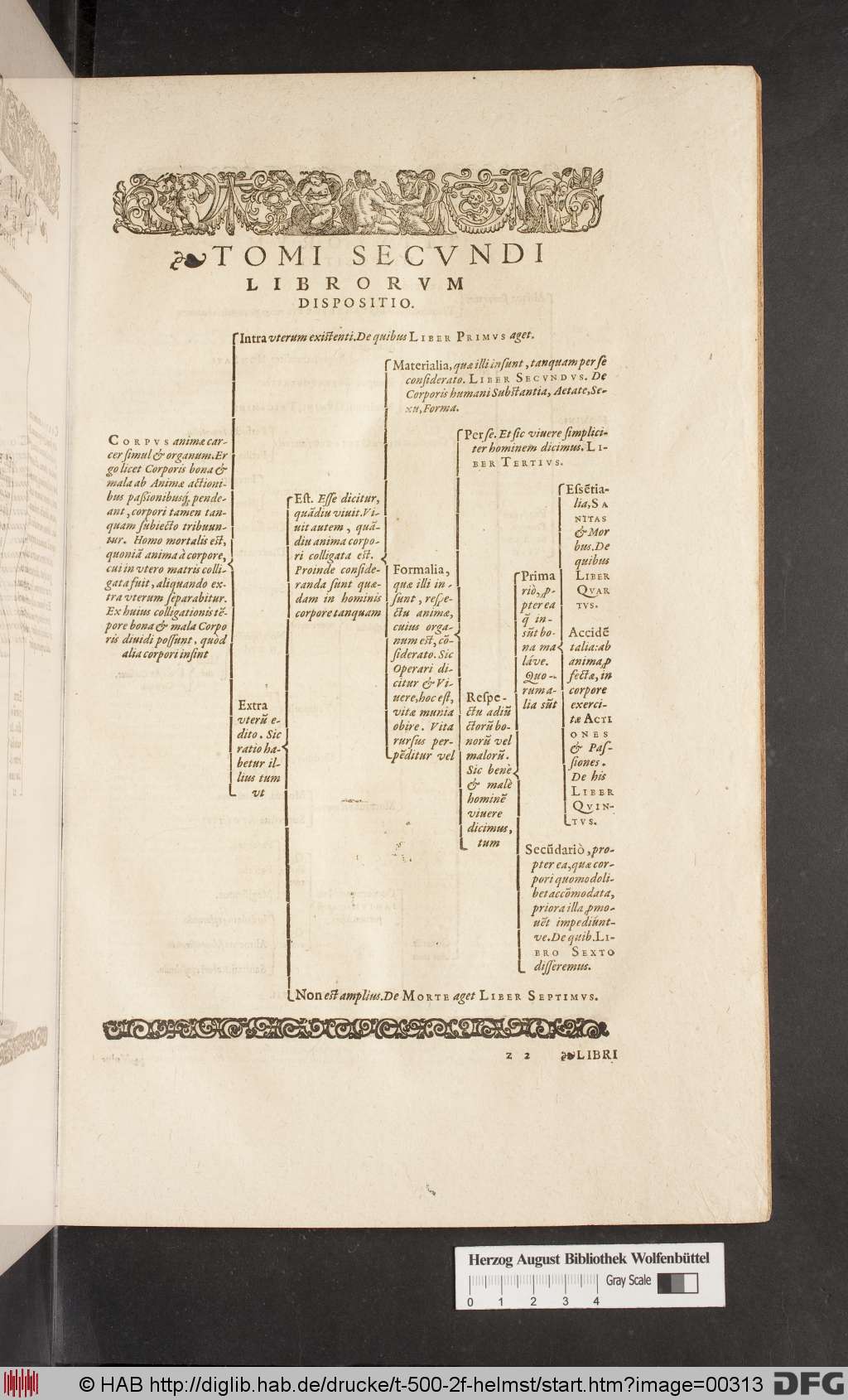 http://diglib.hab.de/drucke/t-500-2f-helmst/00313.jpg