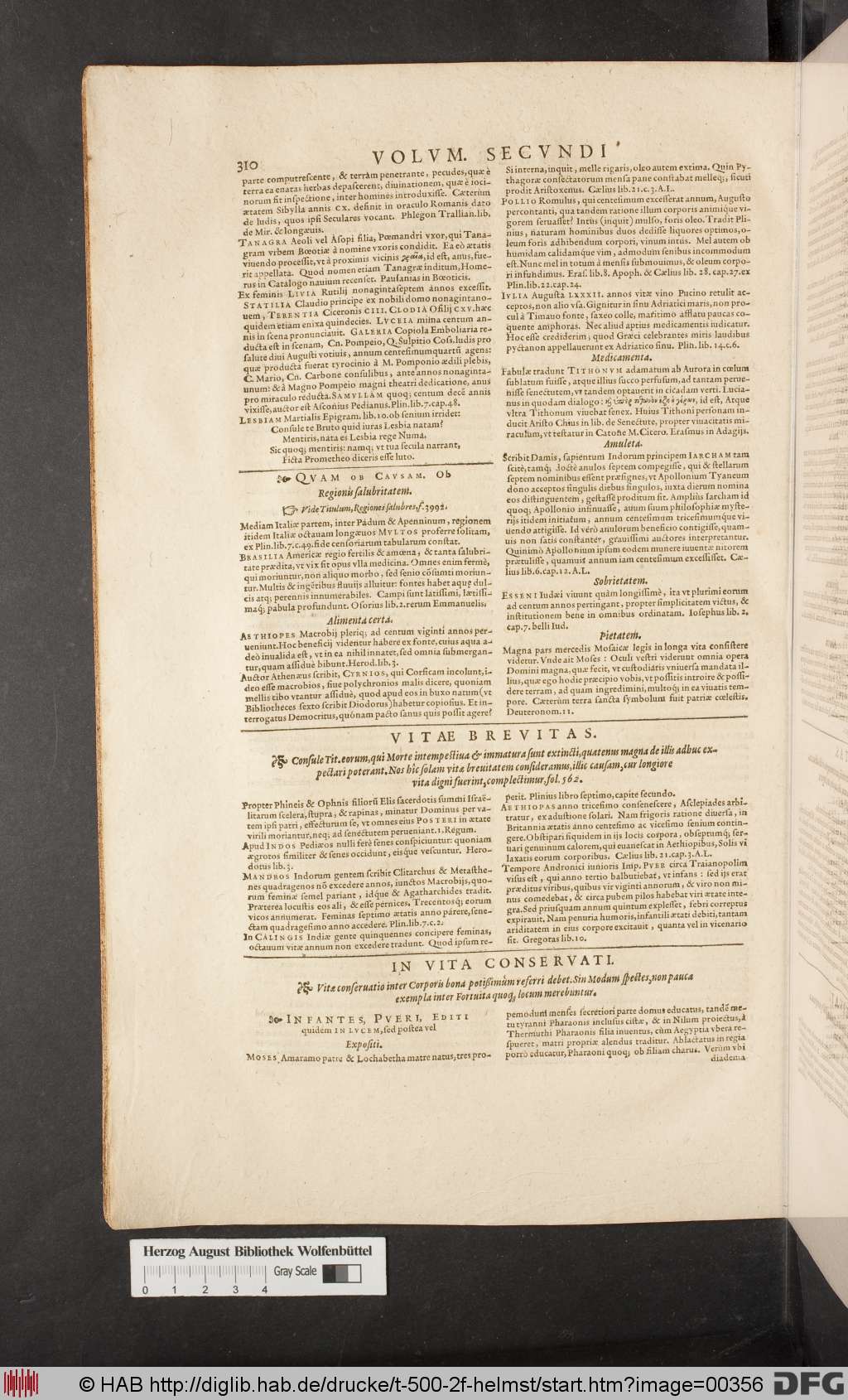 http://diglib.hab.de/drucke/t-500-2f-helmst/00356.jpg