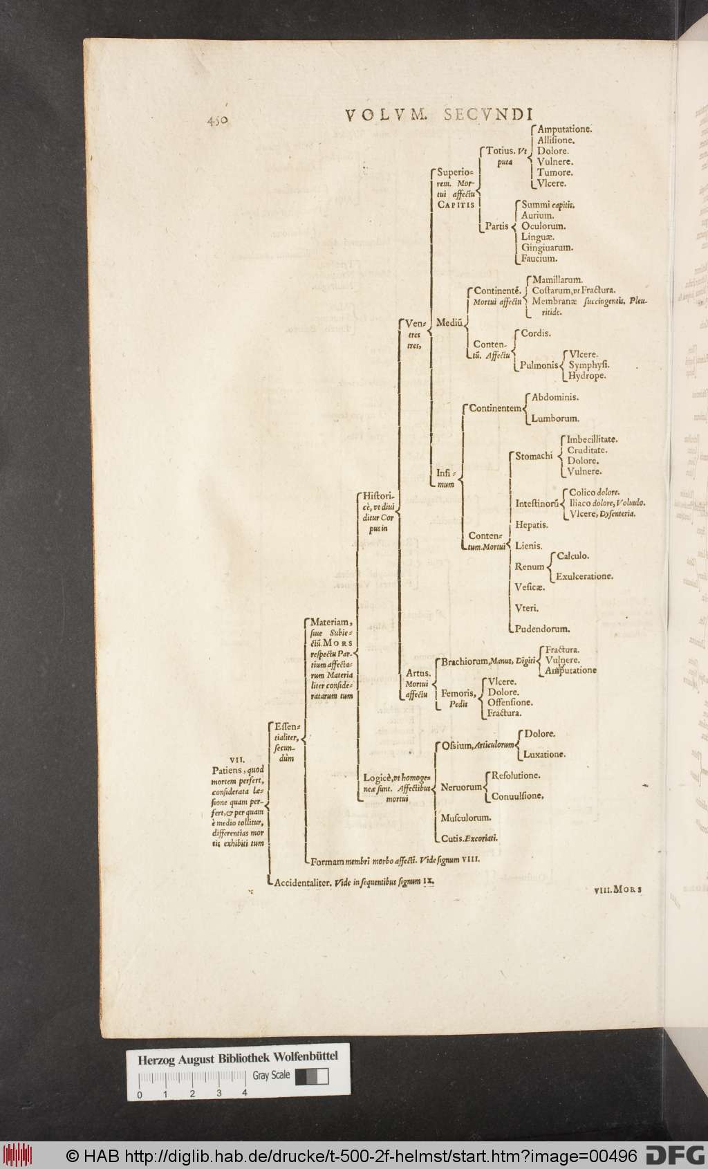 http://diglib.hab.de/drucke/t-500-2f-helmst/00496.jpg