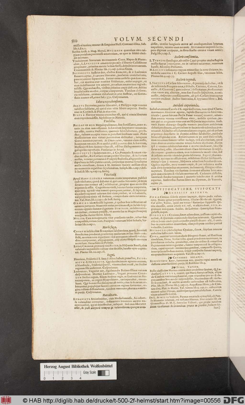 http://diglib.hab.de/drucke/t-500-2f-helmst/00556.jpg