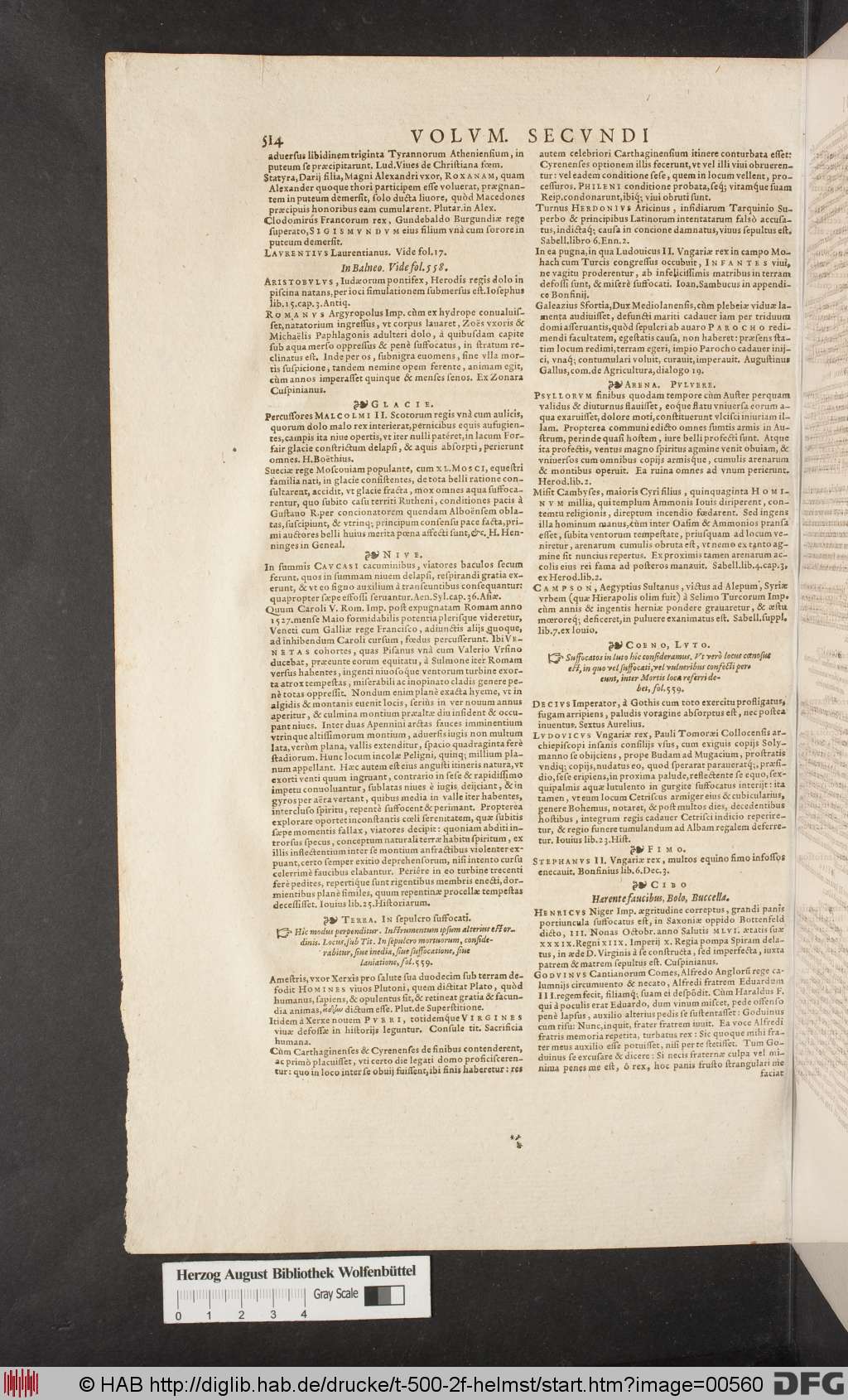 http://diglib.hab.de/drucke/t-500-2f-helmst/00560.jpg