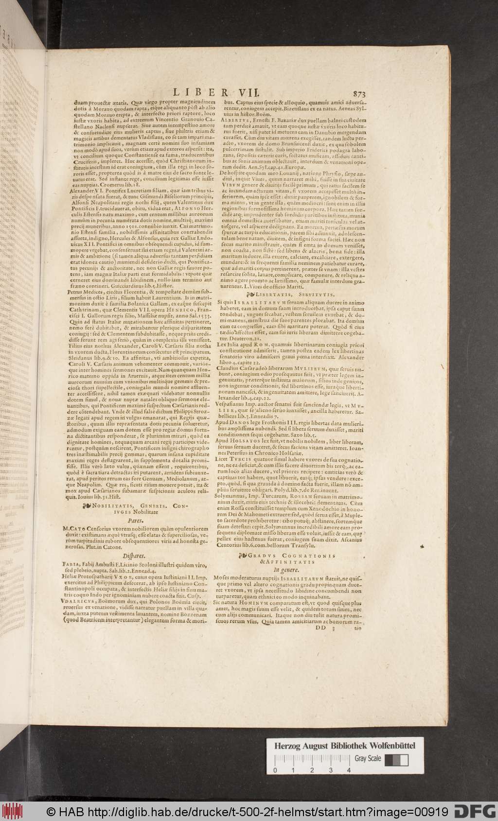 http://diglib.hab.de/drucke/t-500-2f-helmst/00919.jpg