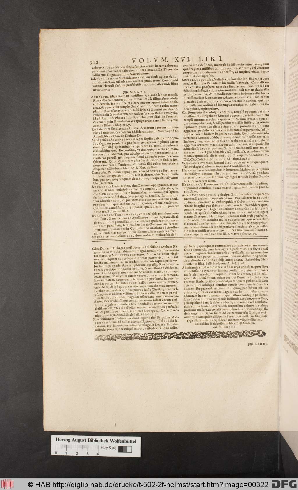 http://diglib.hab.de/drucke/t-502-2f-helmst/00322.jpg