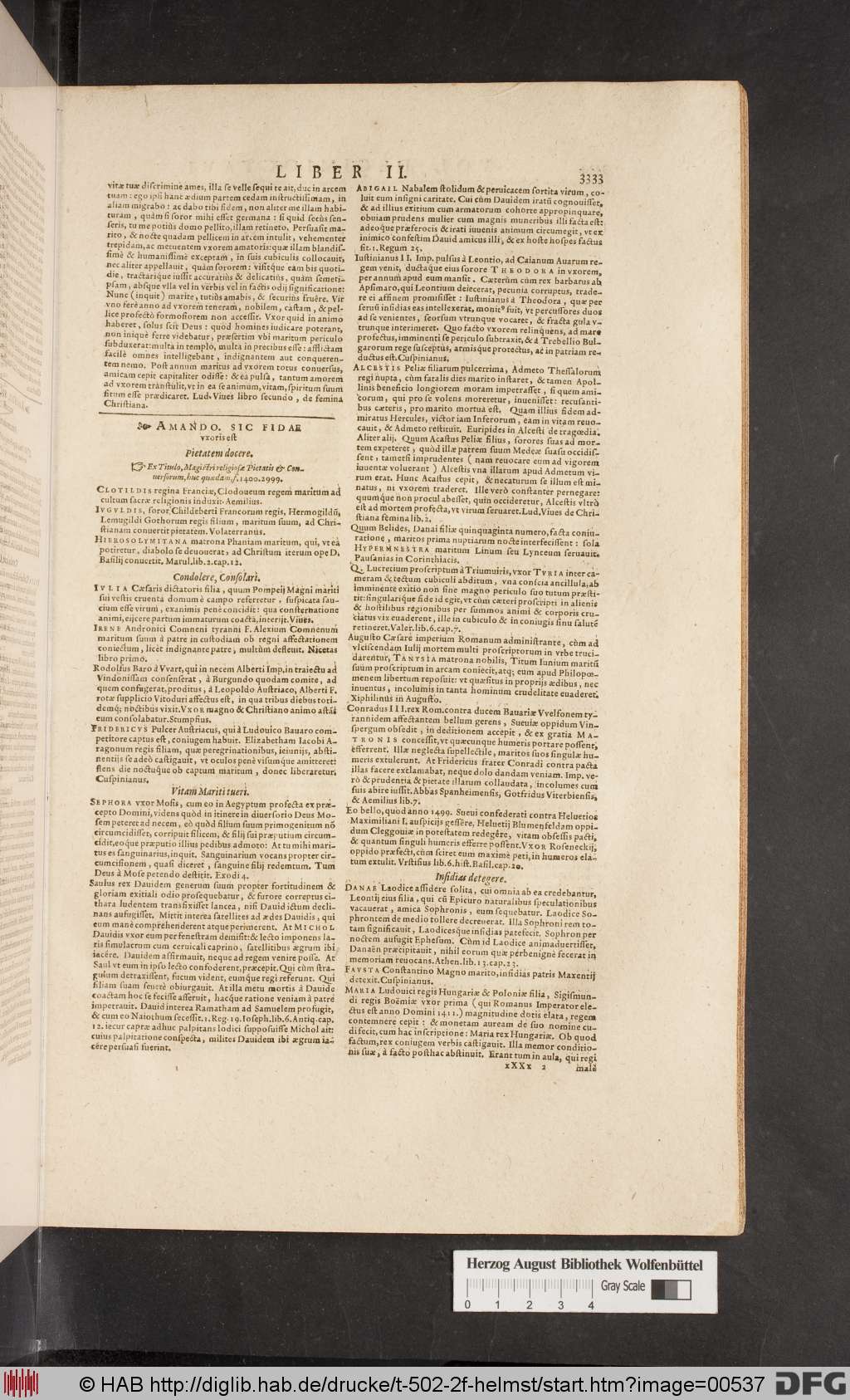 http://diglib.hab.de/drucke/t-502-2f-helmst/00537.jpg