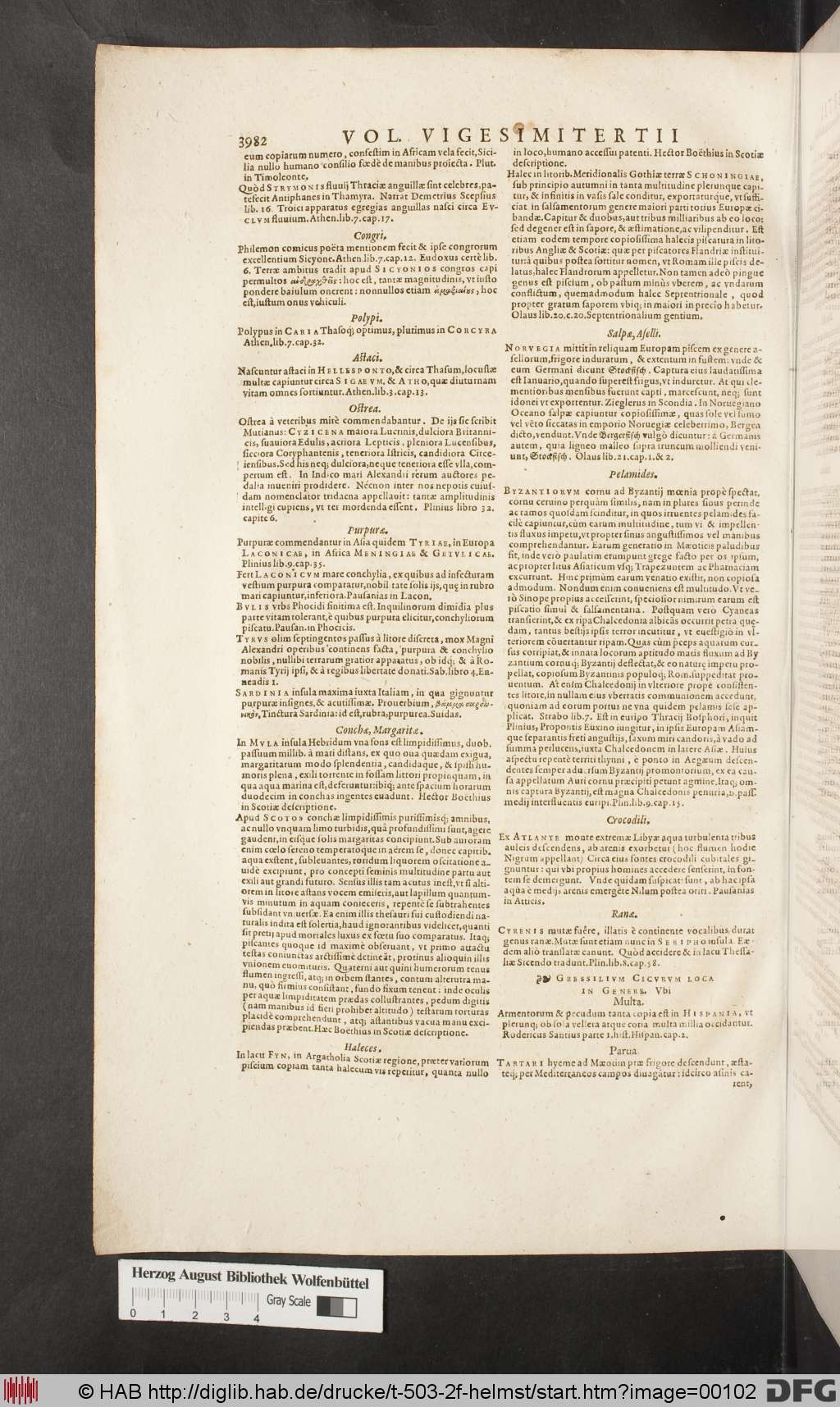 http://diglib.hab.de/drucke/t-503-2f-helmst/00102.jpg