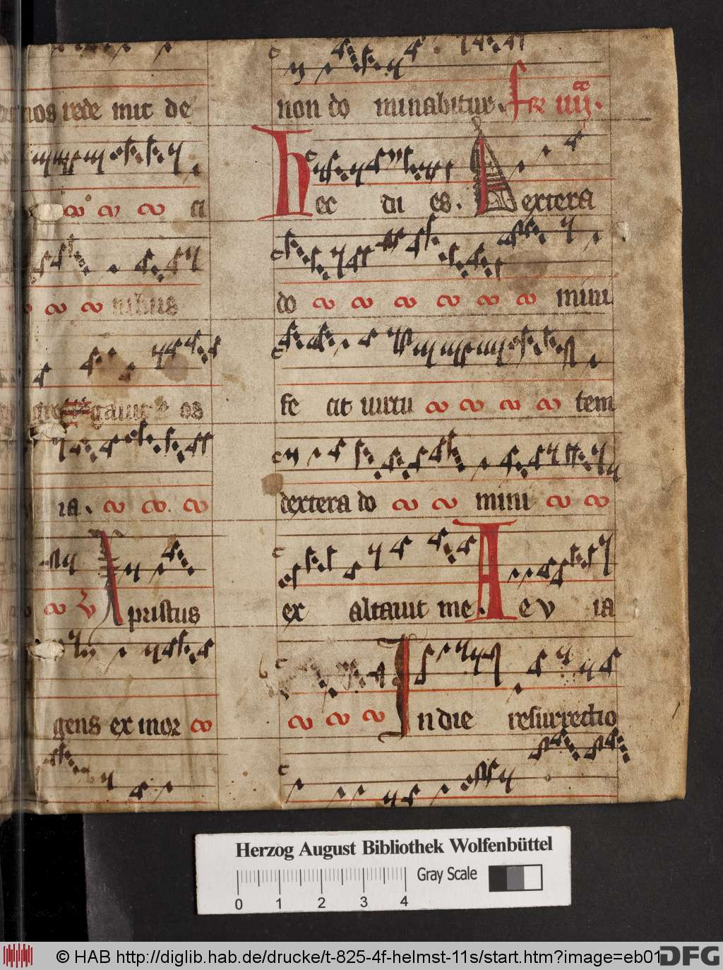 http://diglib.hab.de/drucke/t-825-4f-helmst-11s/eb01.jpg