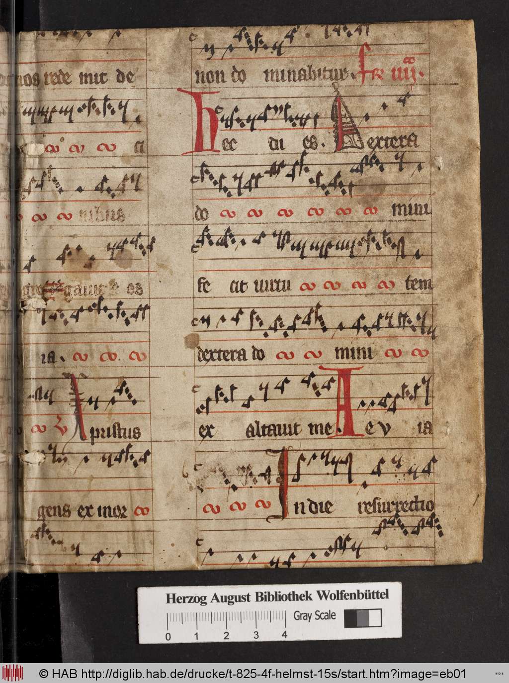 http://diglib.hab.de/drucke/t-825-4f-helmst-15s/eb01.jpg