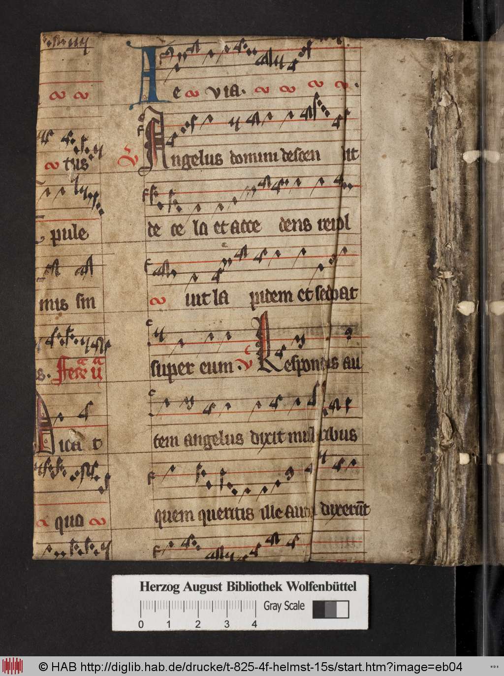 http://diglib.hab.de/drucke/t-825-4f-helmst-15s/eb04.jpg