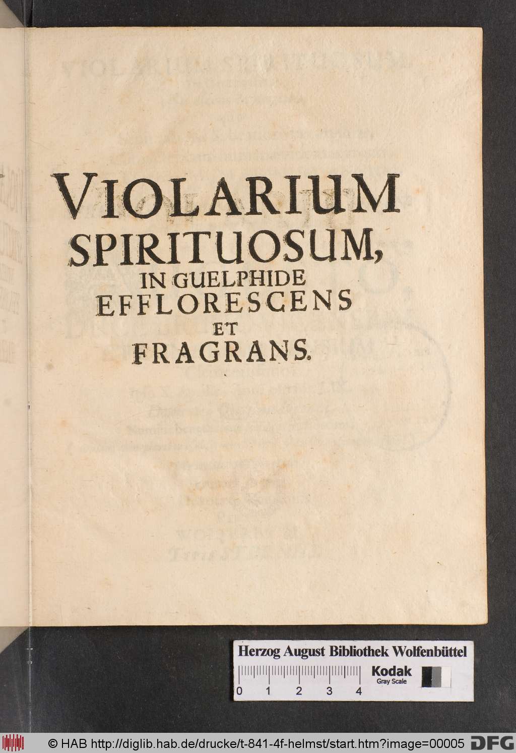 http://diglib.hab.de/drucke/t-841-4f-helmst/00005.jpg