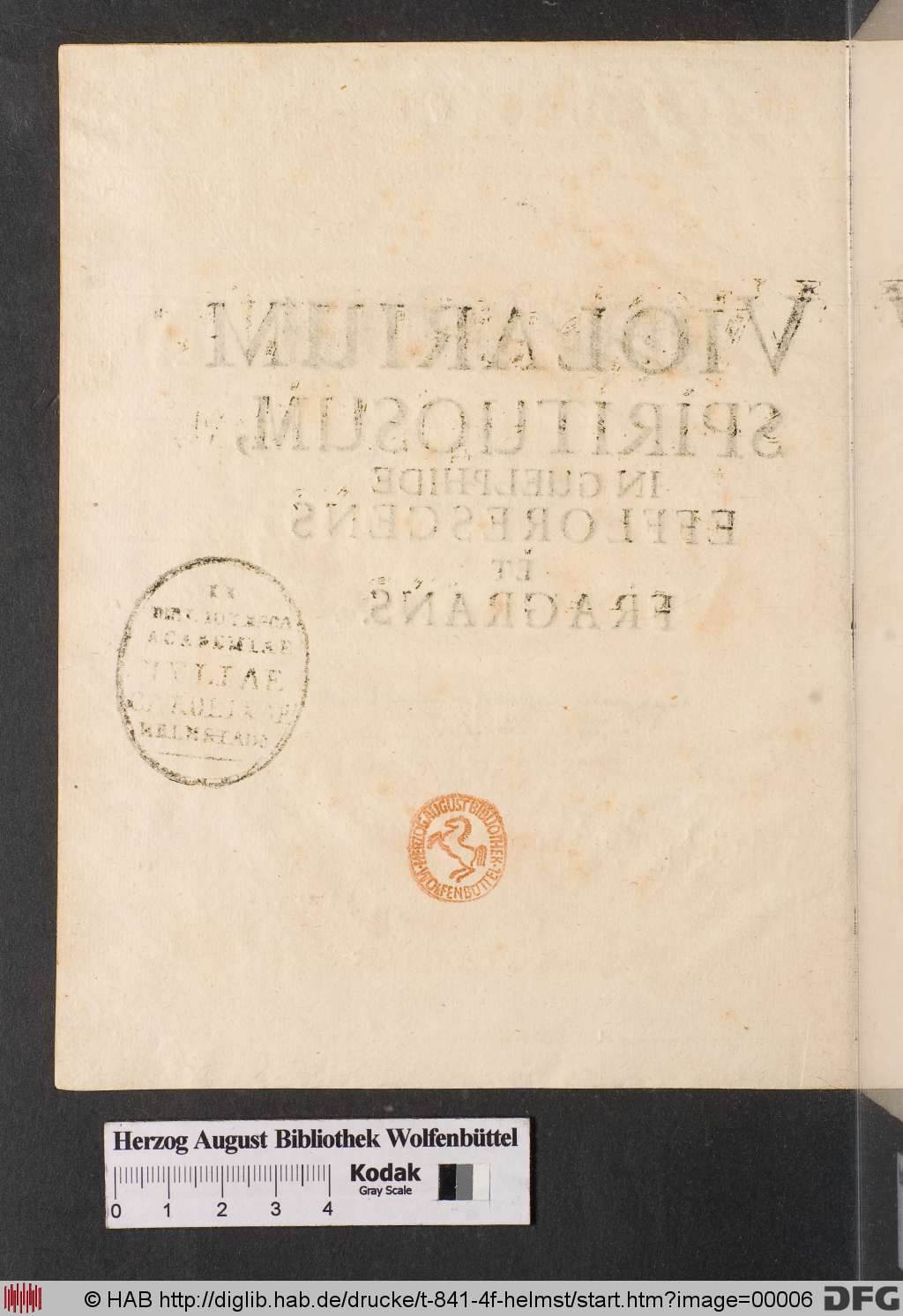 http://diglib.hab.de/drucke/t-841-4f-helmst/00006.jpg