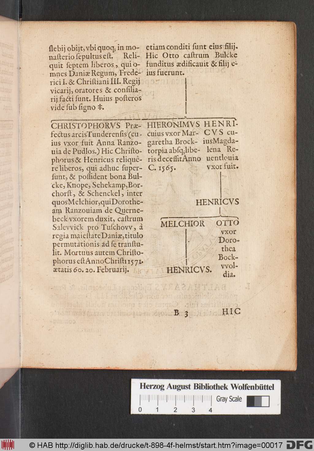 http://diglib.hab.de/drucke/t-898-4f-helmst/00017.jpg