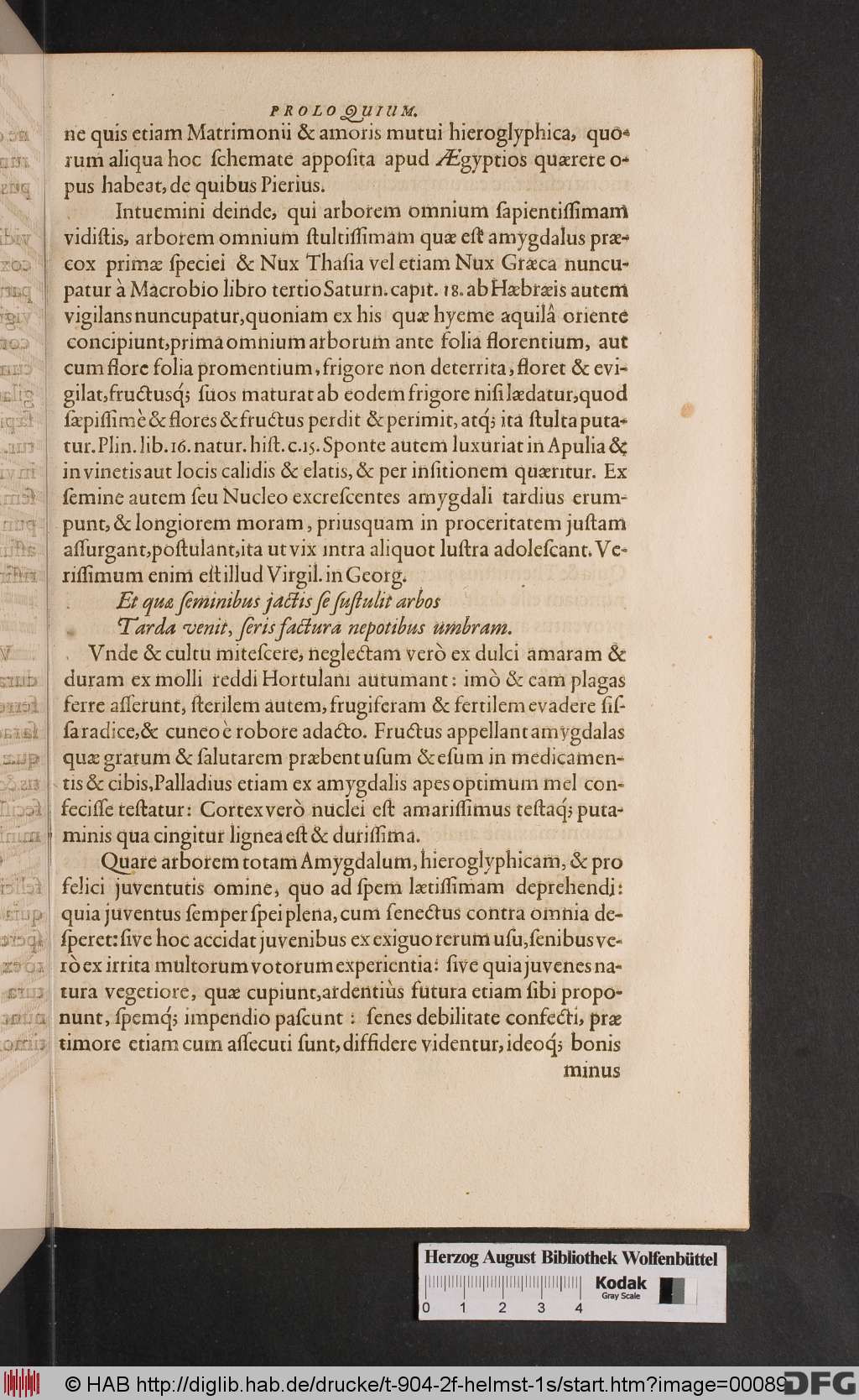 http://diglib.hab.de/drucke/t-904-2f-helmst-1s/00089.jpg