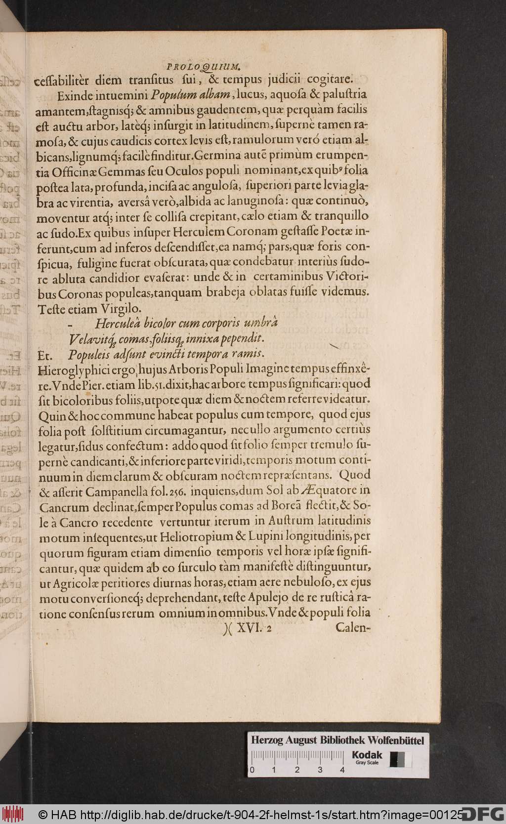http://diglib.hab.de/drucke/t-904-2f-helmst-1s/00125.jpg