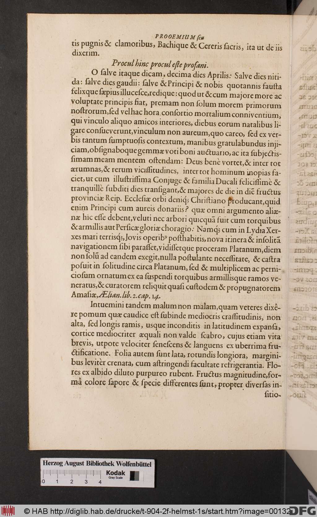 http://diglib.hab.de/drucke/t-904-2f-helmst-1s/00132.jpg