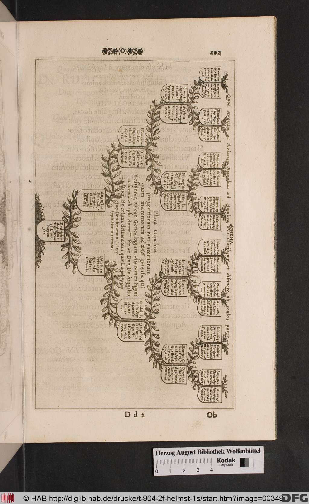 http://diglib.hab.de/drucke/t-904-2f-helmst-1s/00349.jpg