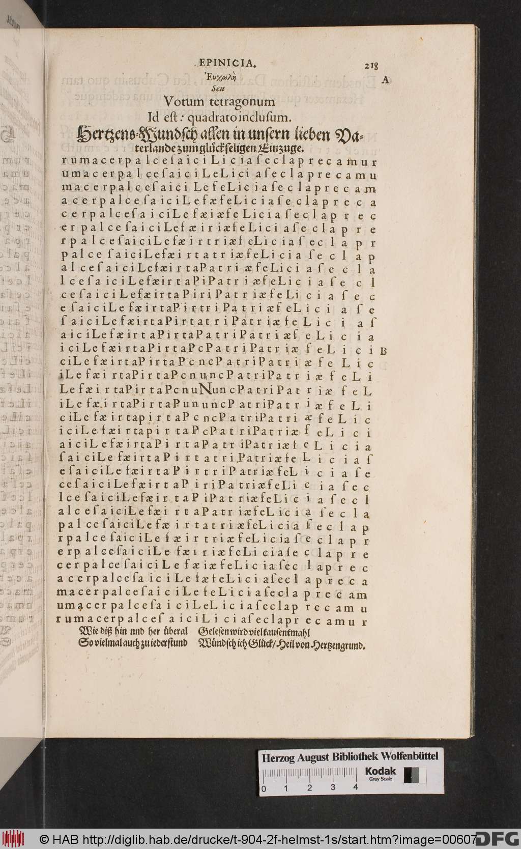http://diglib.hab.de/drucke/t-904-2f-helmst-1s/00607.jpg