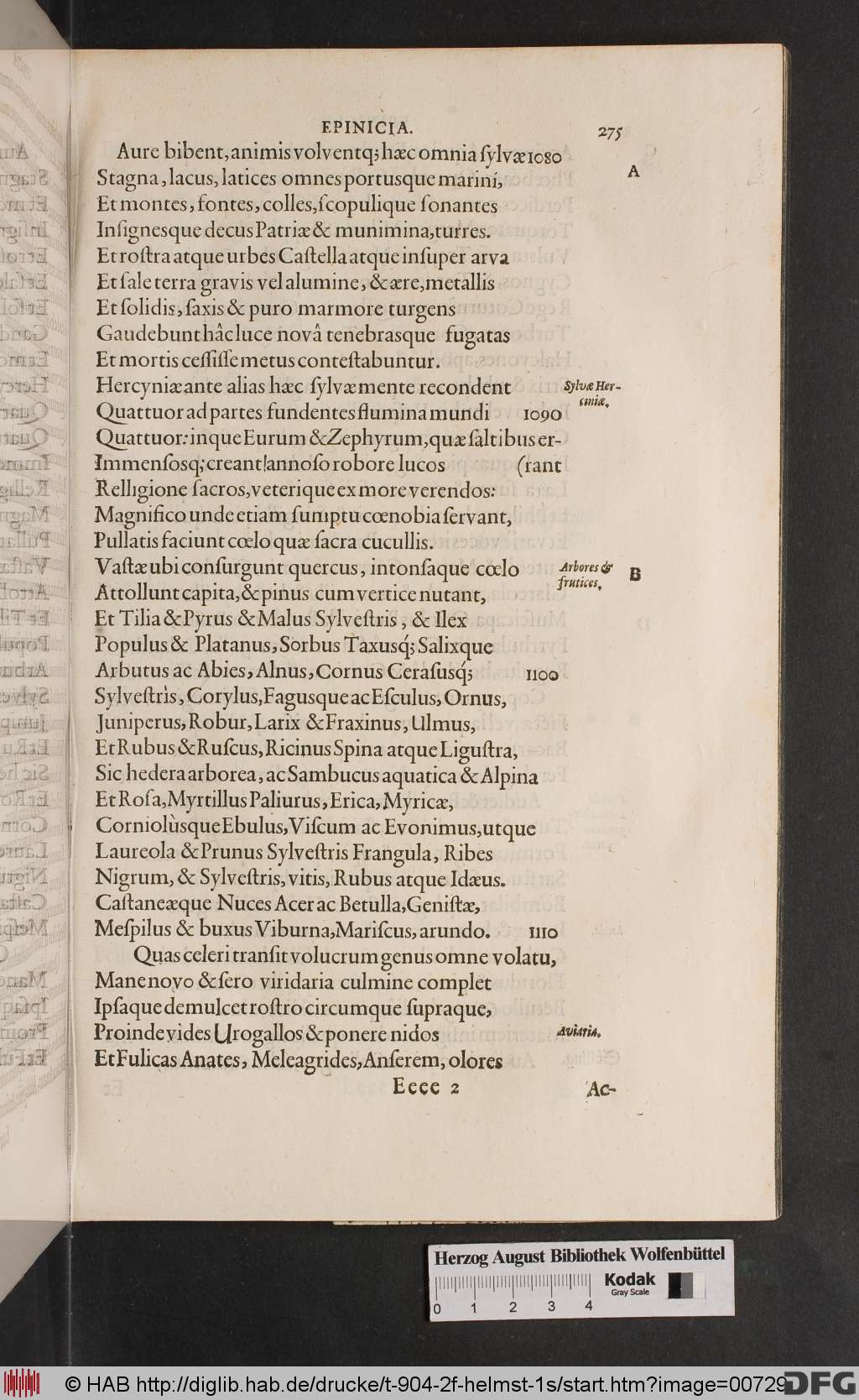 http://diglib.hab.de/drucke/t-904-2f-helmst-1s/00729.jpg