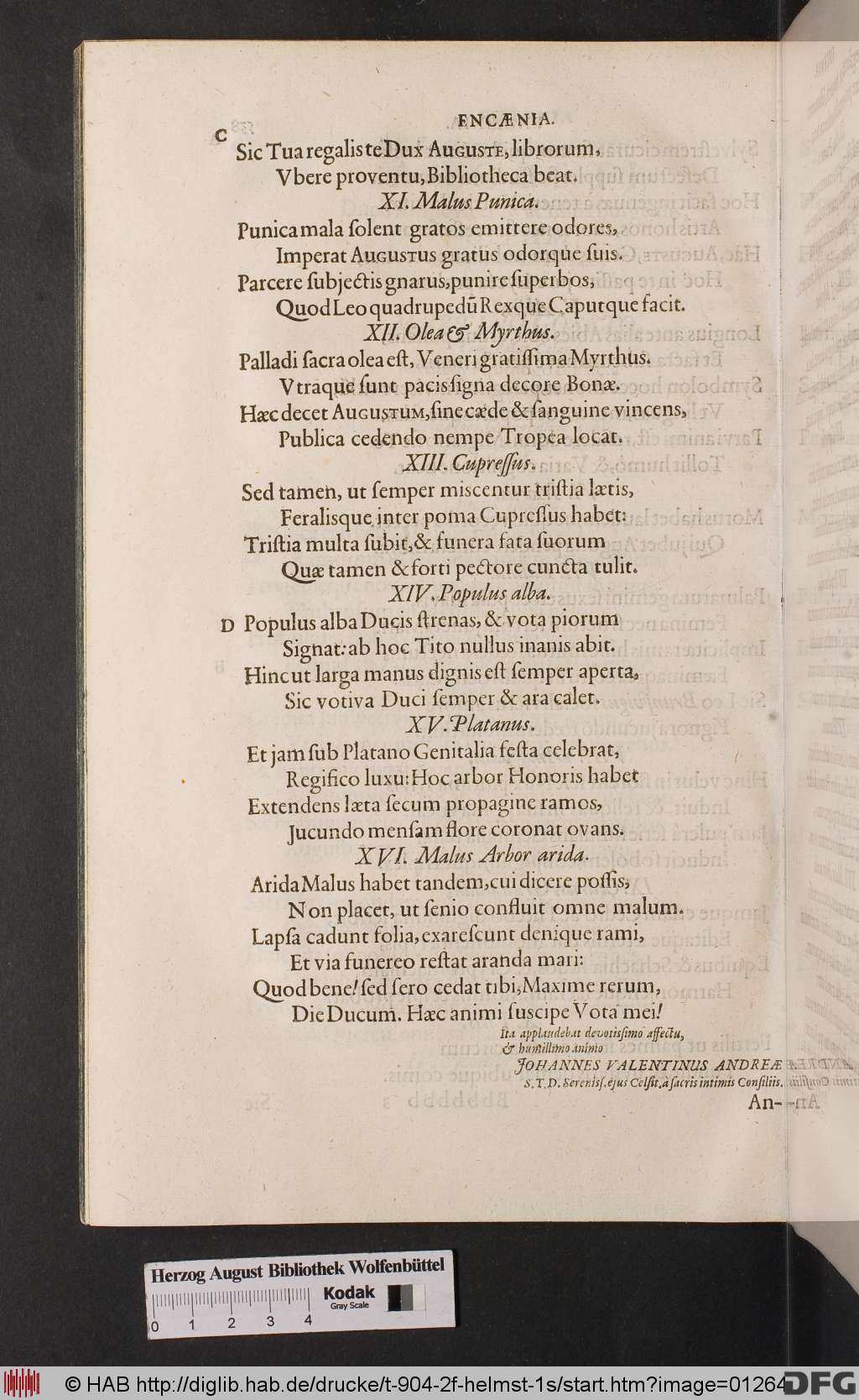 http://diglib.hab.de/drucke/t-904-2f-helmst-1s/01264.jpg