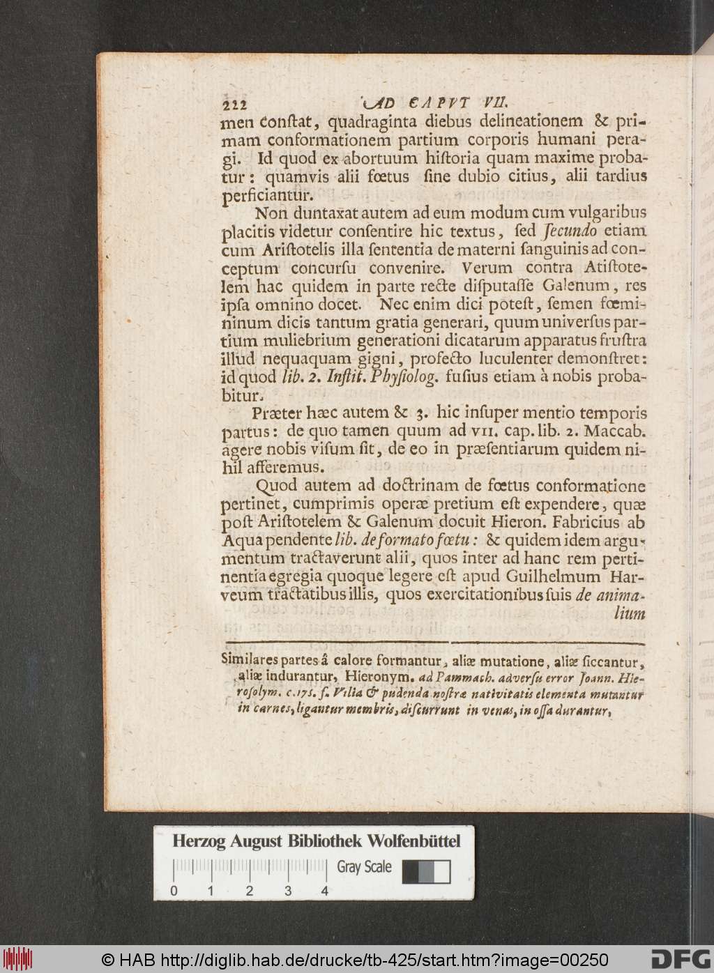 http://diglib.hab.de/drucke/tb-425/00250.jpg