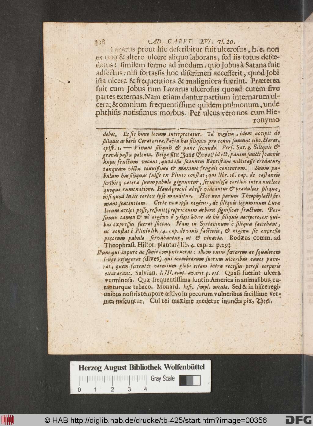 http://diglib.hab.de/drucke/tb-425/00356.jpg