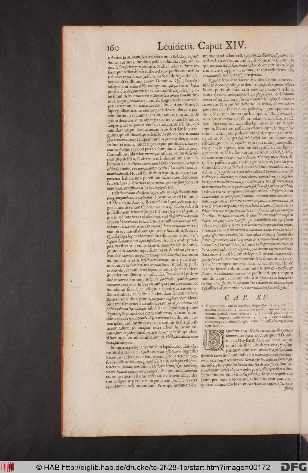 http://diglib.hab.de/drucke/tc-2f-28-1b/00172.jpg