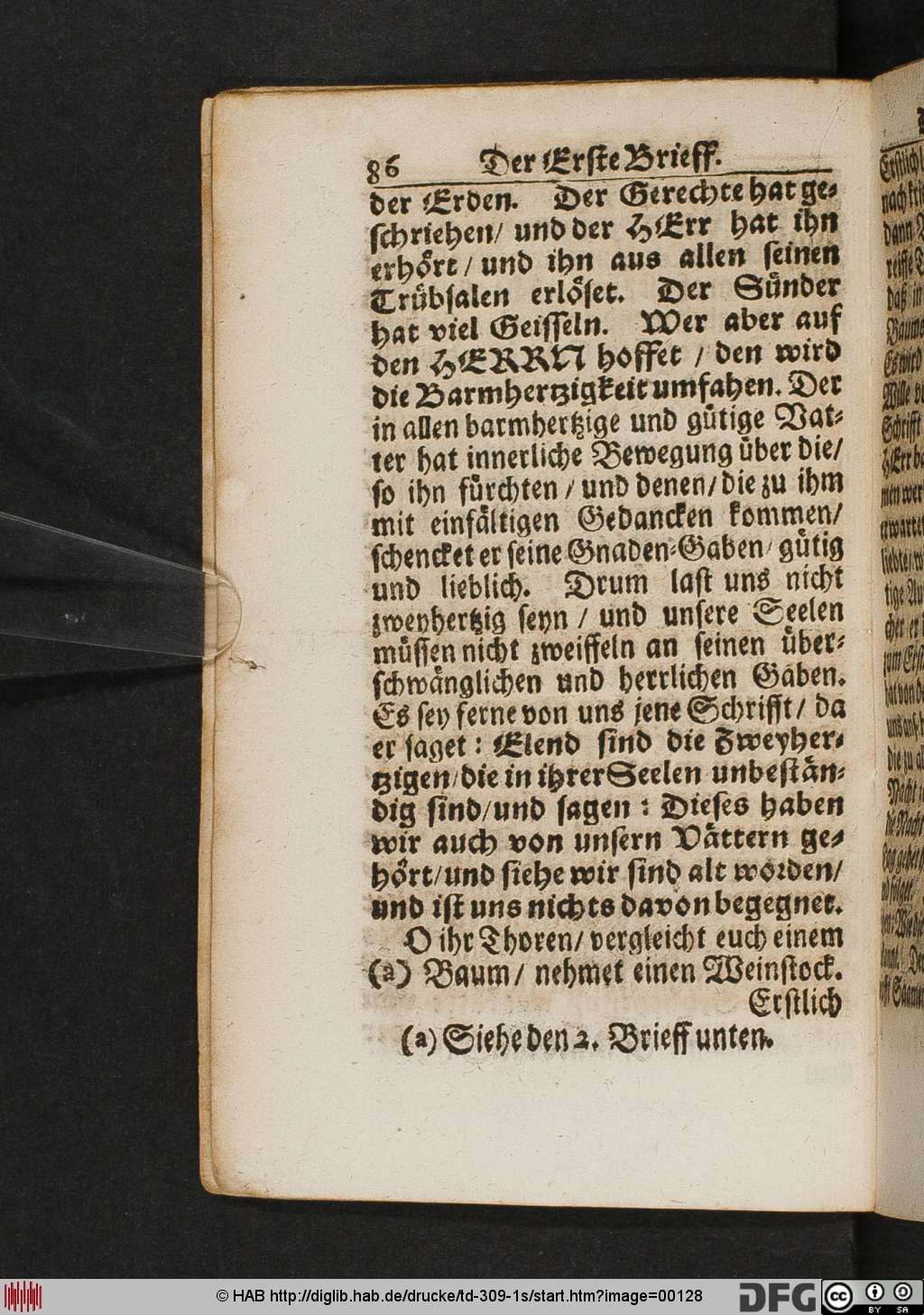 http://diglib.hab.de/drucke/td-309-1s/00128.jpg