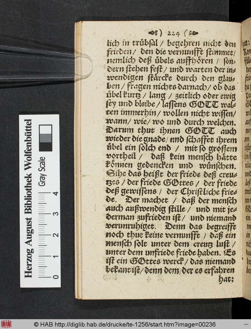 http://diglib.hab.de/drucke/te-1256/00236.jpg