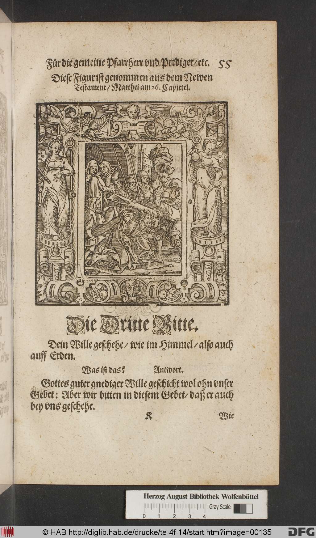 http://diglib.hab.de/drucke/te-4f-14/00135.jpg