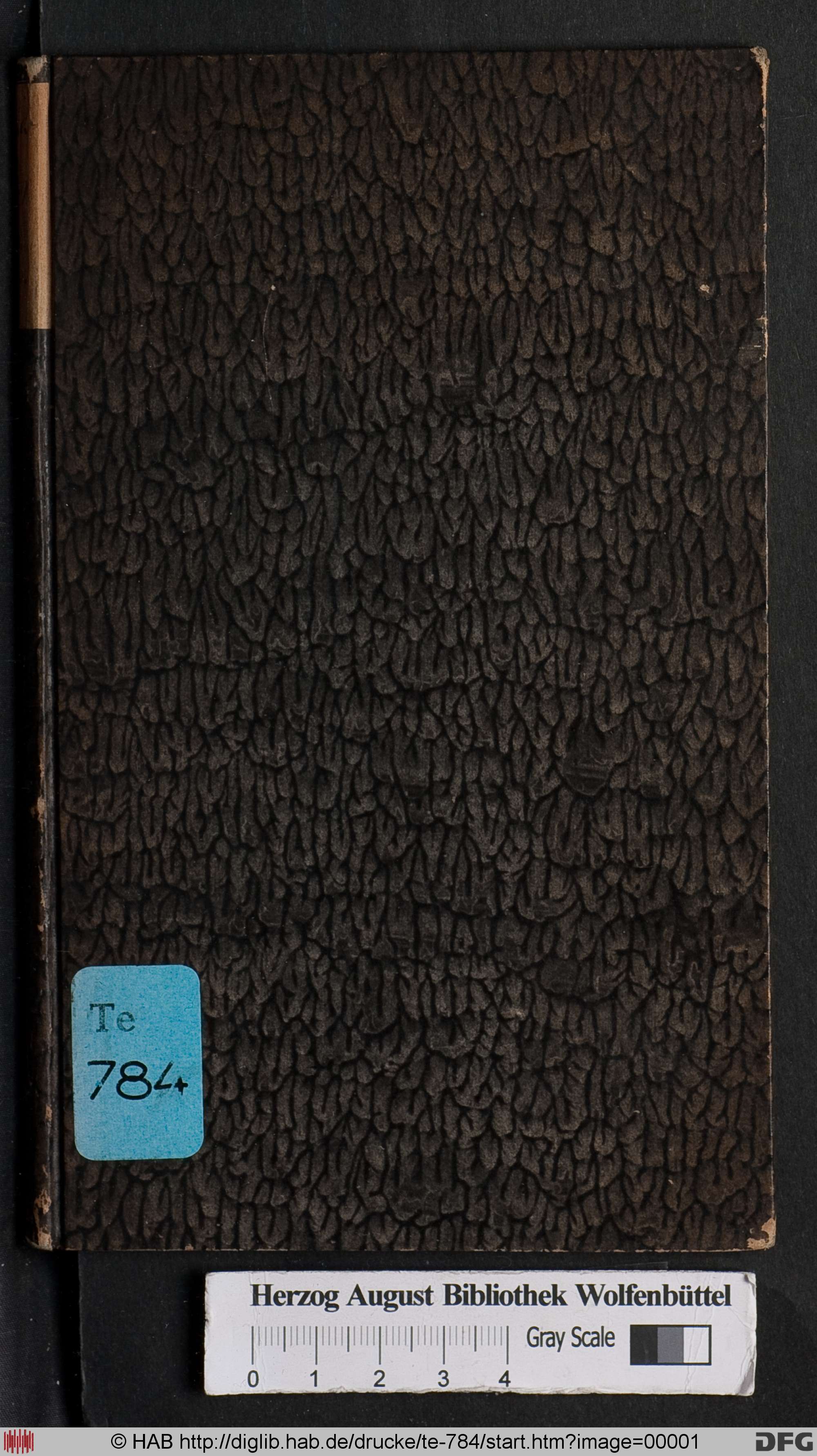 http://diglib.hab.de/drucke/te-784/max/00001.jpg
