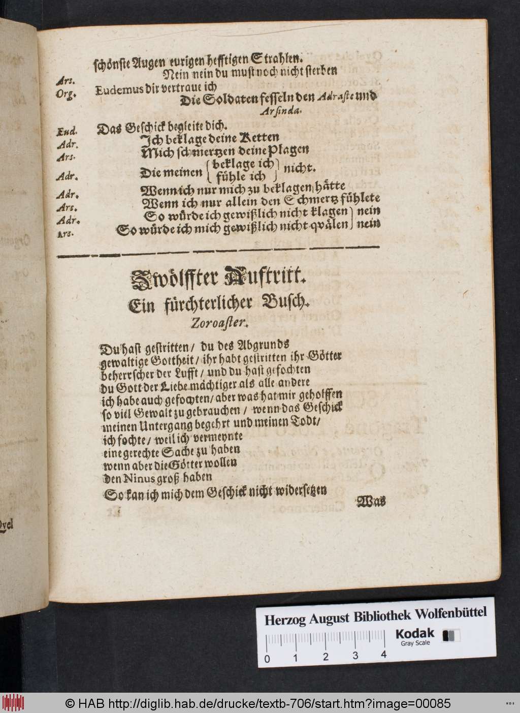 http://diglib.hab.de/drucke/textb-706/00085.jpg