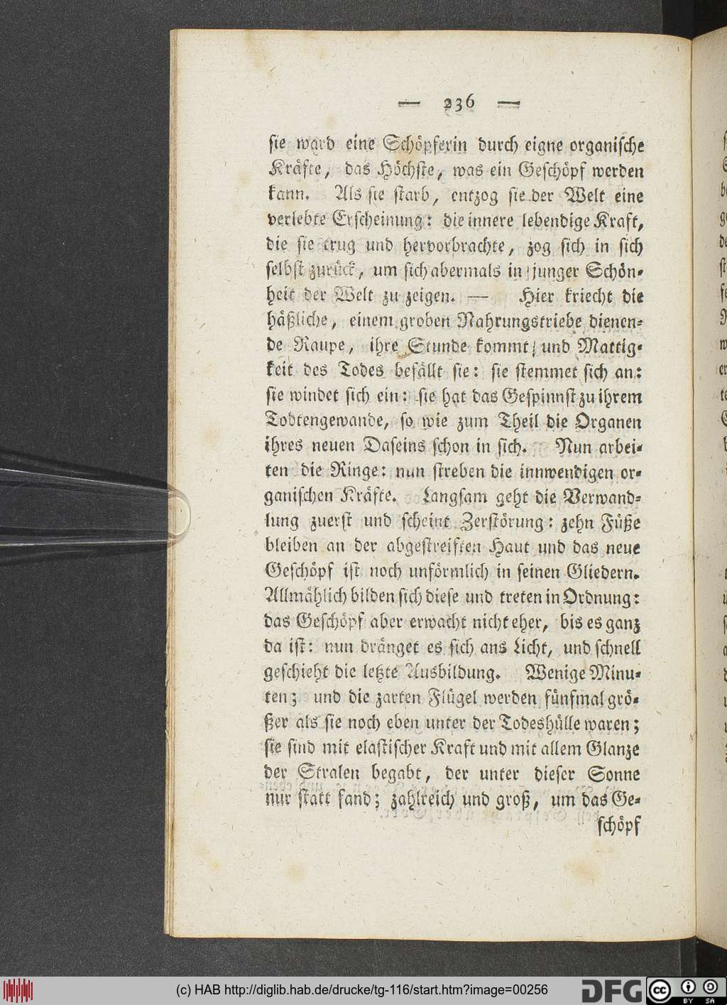 http://diglib.hab.de/drucke/tg-116/00256.jpg