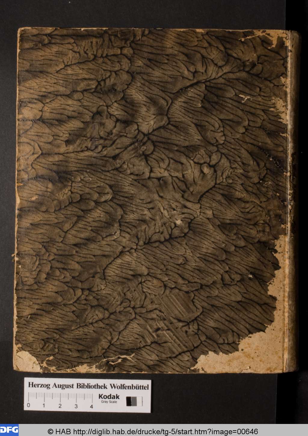 http://diglib.hab.de/drucke/tg-5/00646.jpg