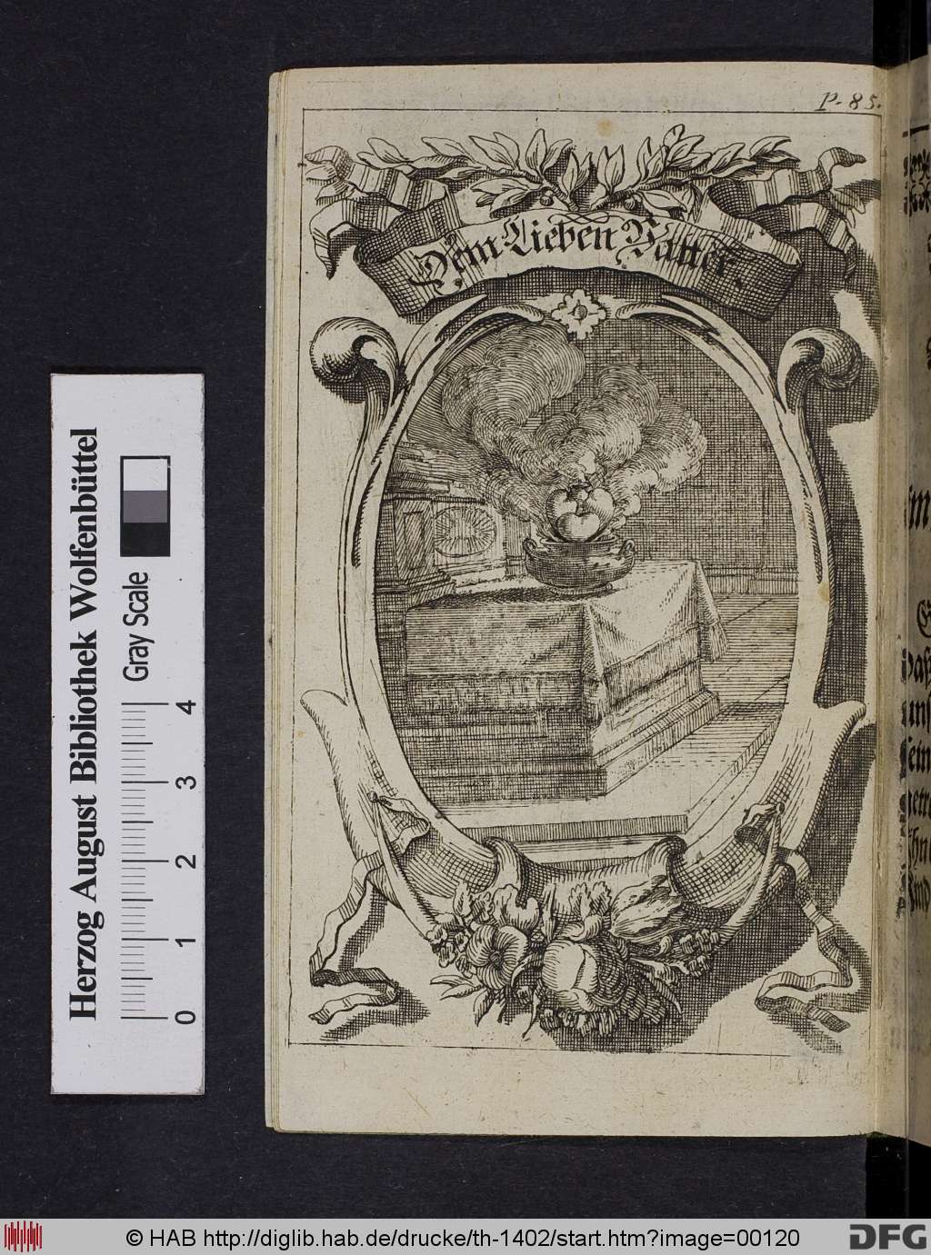 http://diglib.hab.de/drucke/th-1402/00120.jpg