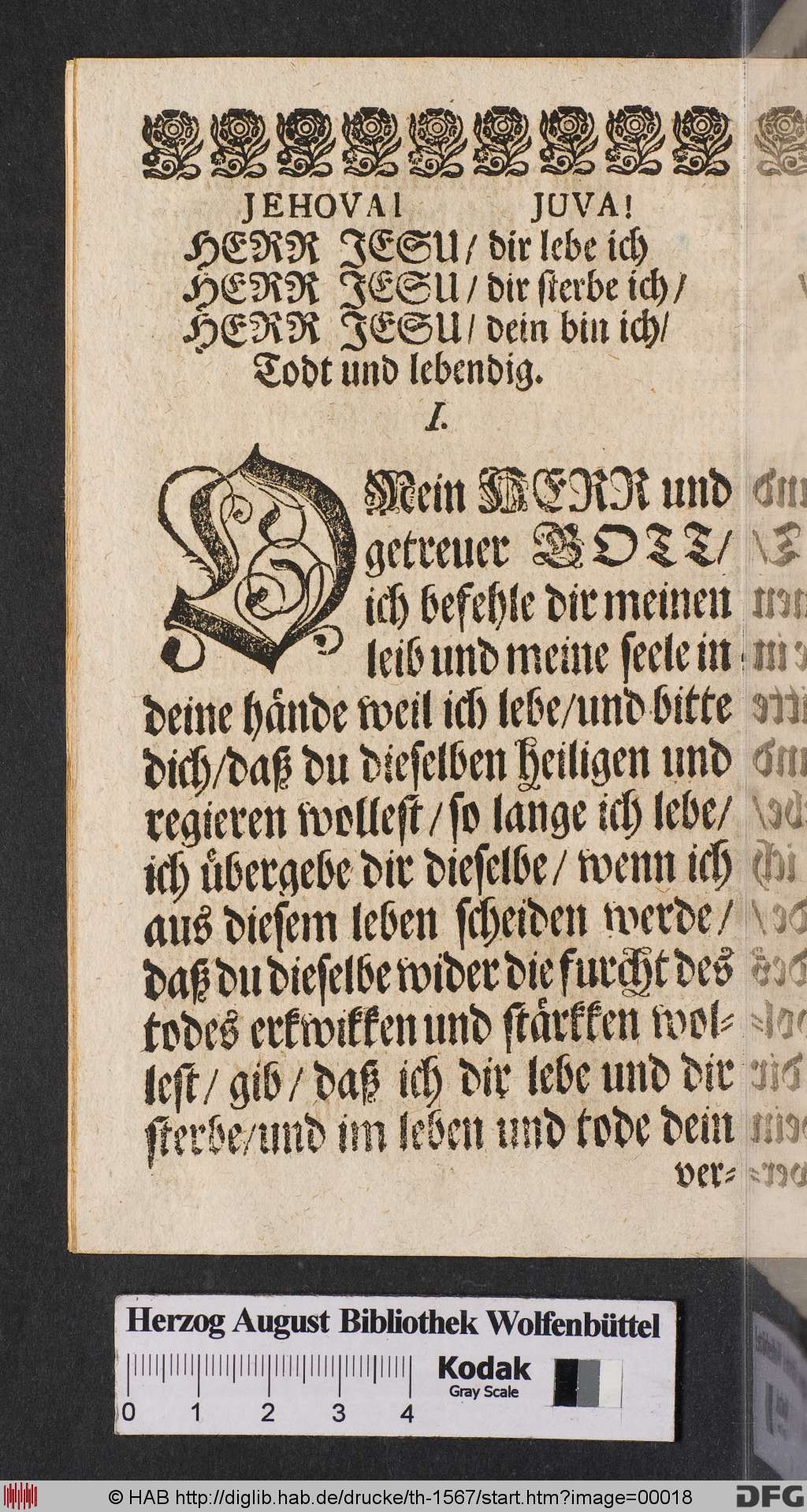 http://diglib.hab.de/drucke/th-1567/00018.jpg