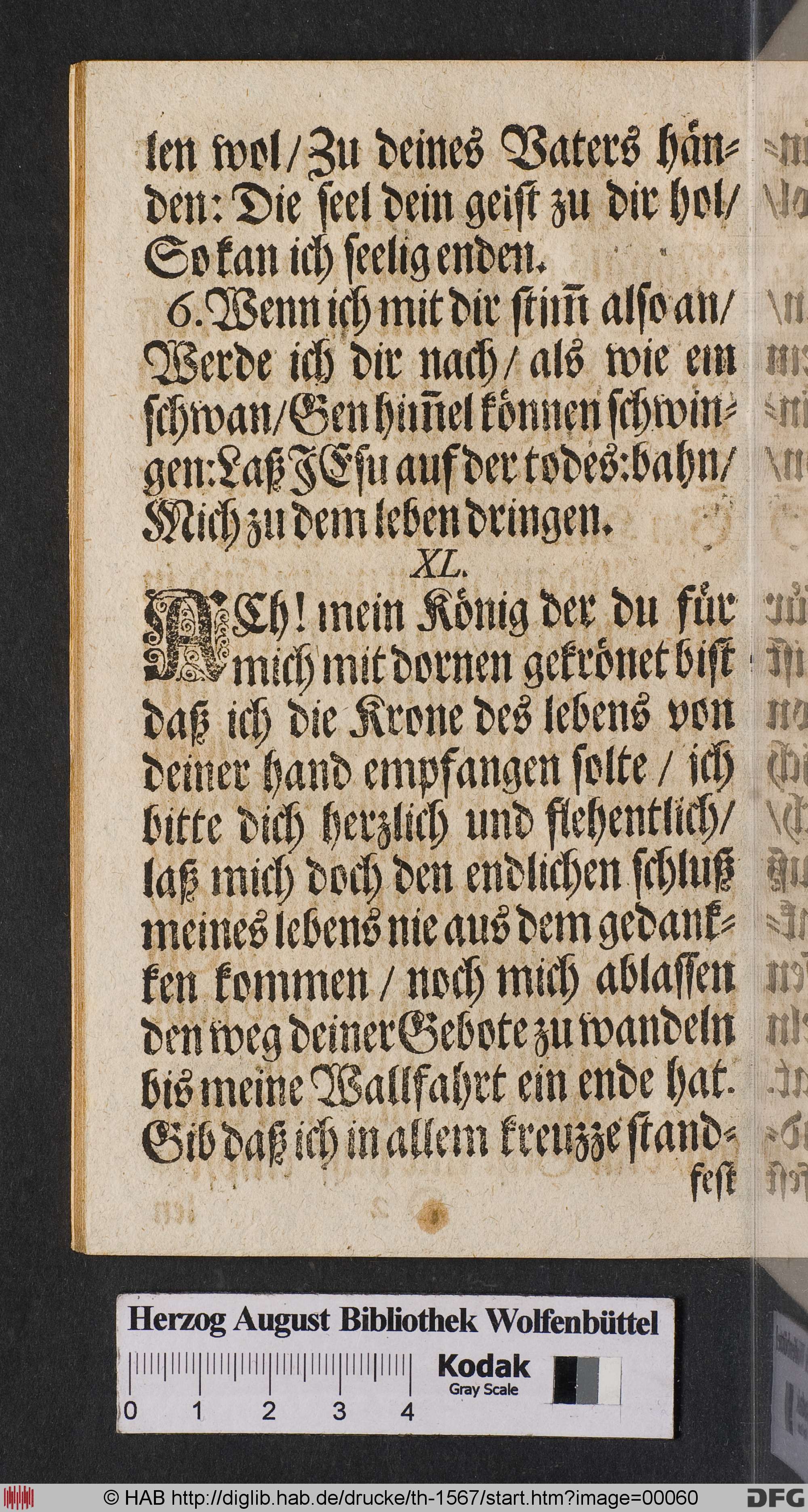 http://diglib.hab.de/drucke/th-1567/max/00060.jpg