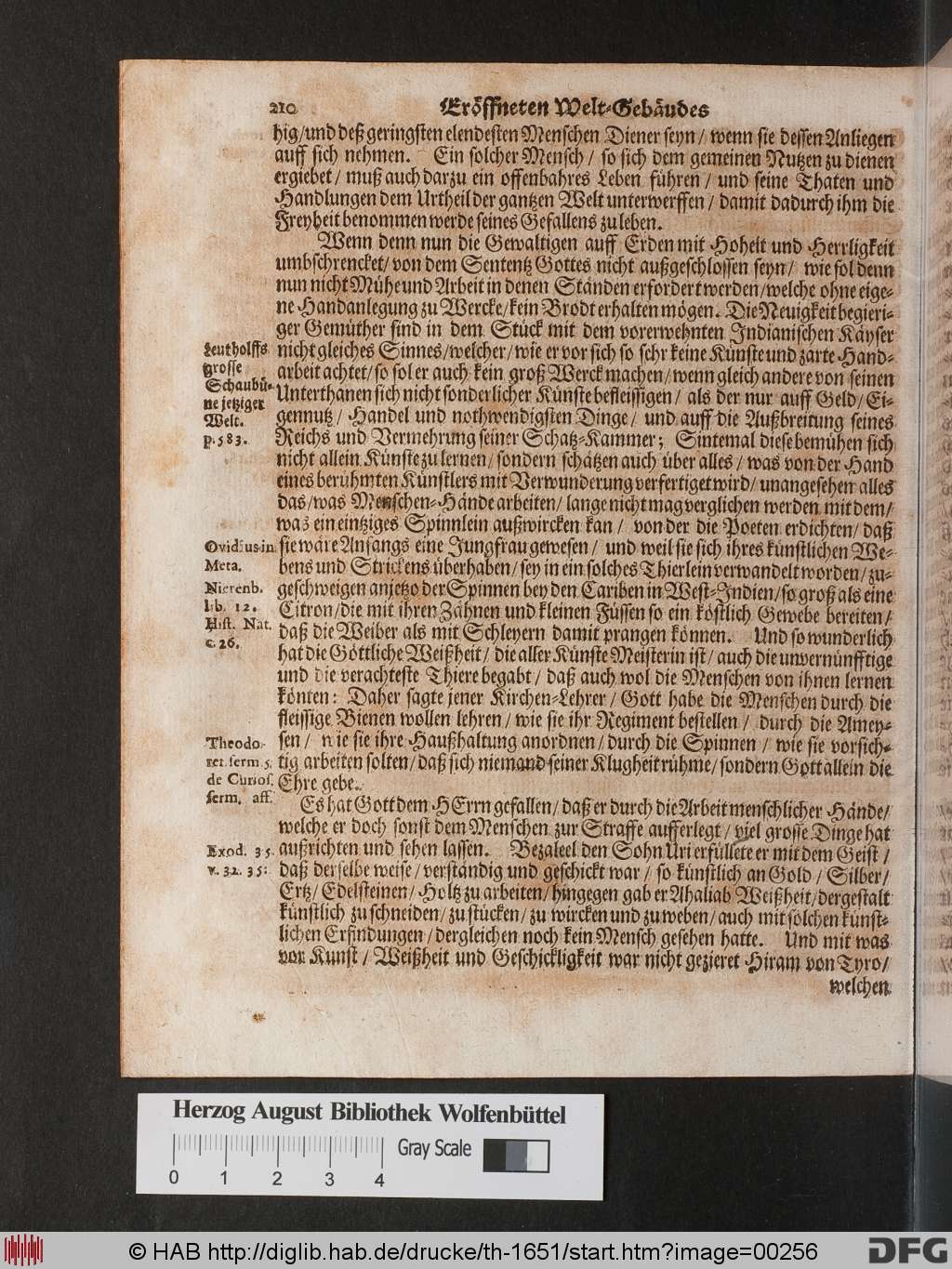 http://diglib.hab.de/drucke/th-1651/00256.jpg