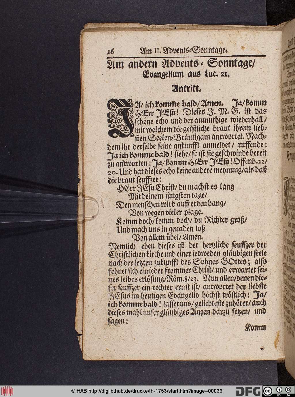 http://diglib.hab.de/drucke/th-1753/00036.jpg