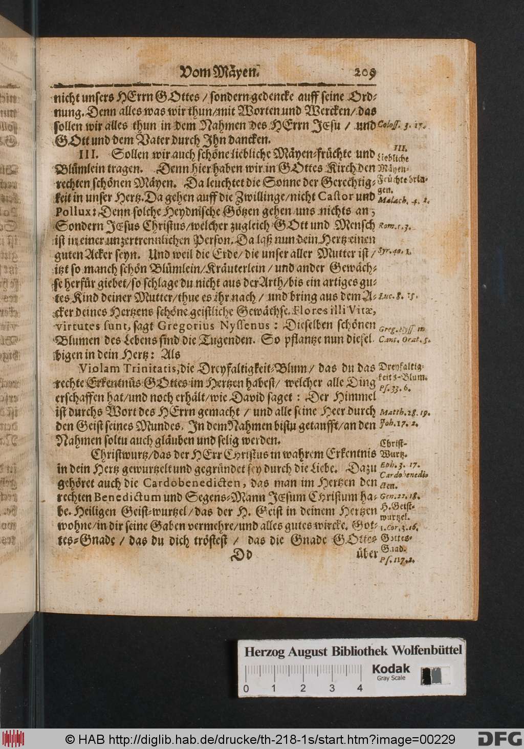 http://diglib.hab.de/drucke/th-218-1s/00229.jpg