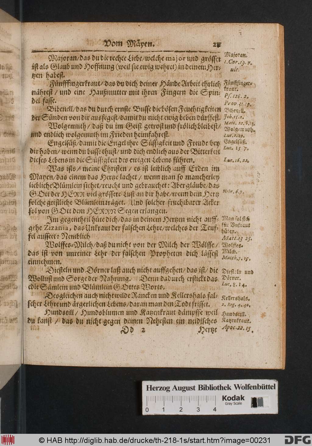 http://diglib.hab.de/drucke/th-218-1s/00231.jpg