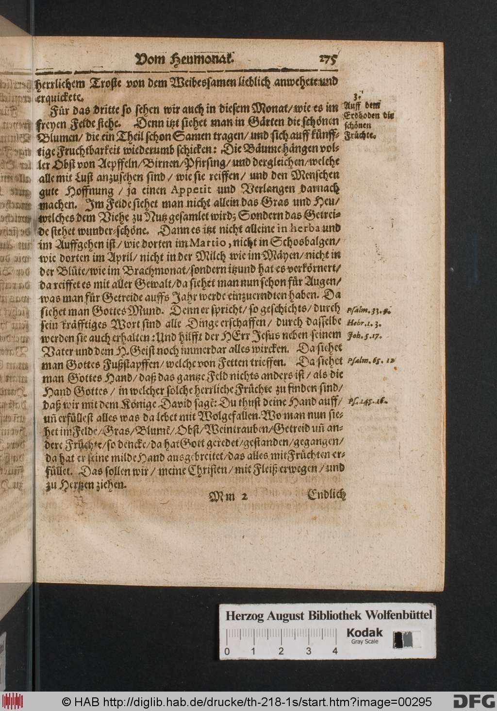 http://diglib.hab.de/drucke/th-218-1s/00295.jpg