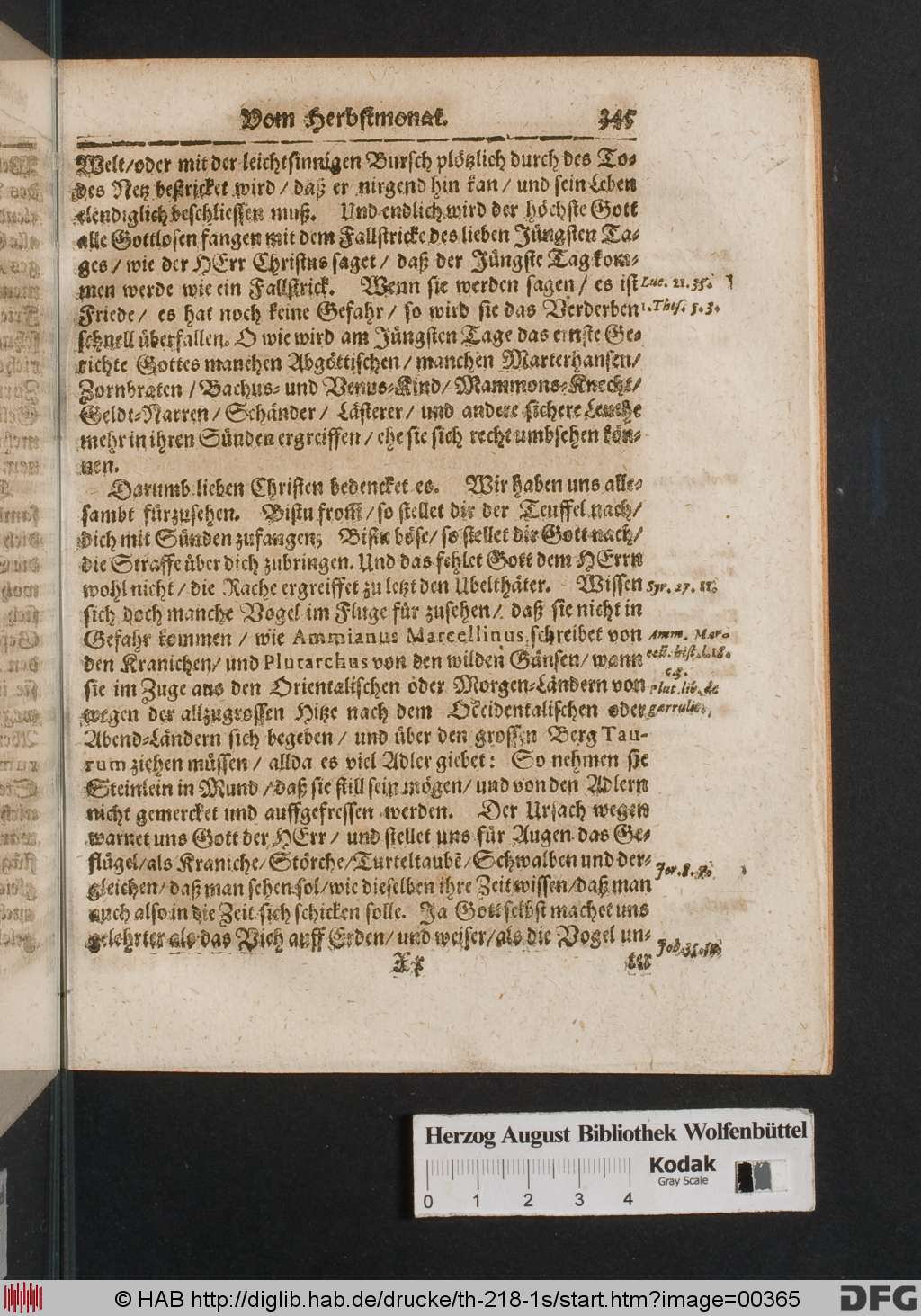 http://diglib.hab.de/drucke/th-218-1s/00365.jpg
