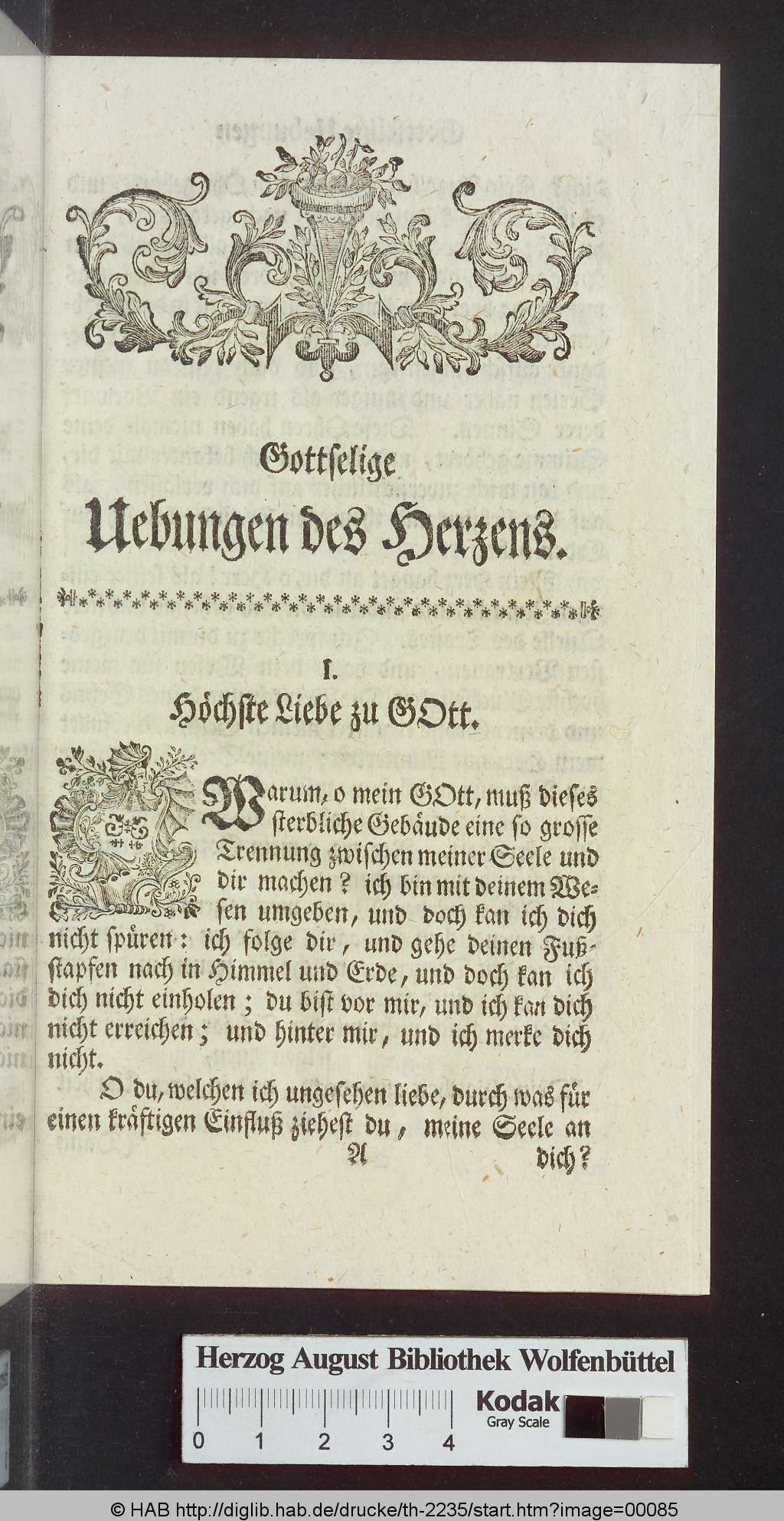 http://diglib.hab.de/drucke/th-2235/00085.jpg